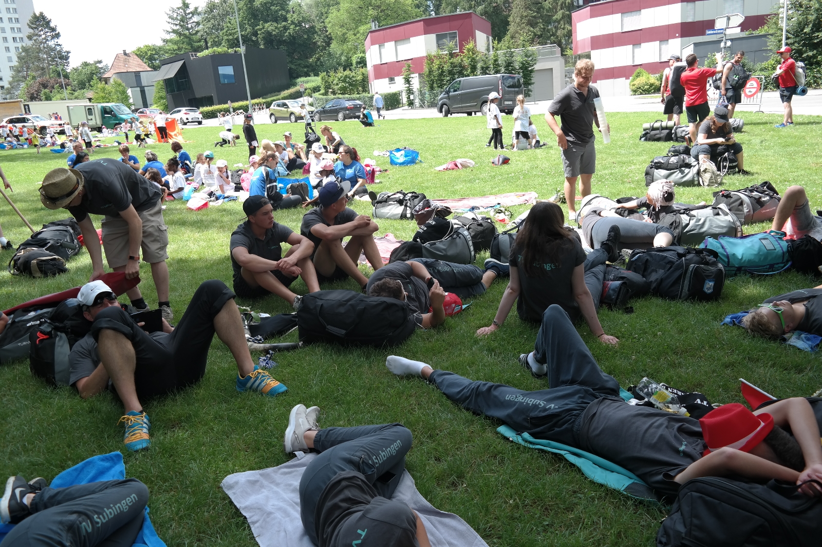 Bild1 (229)